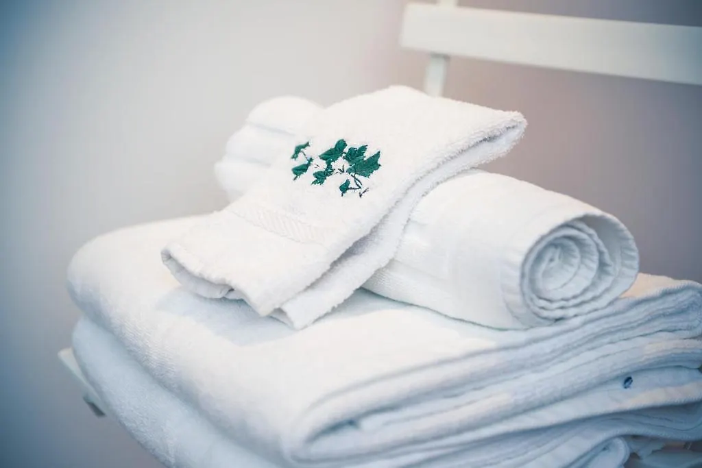 B&B Salve Brussel
